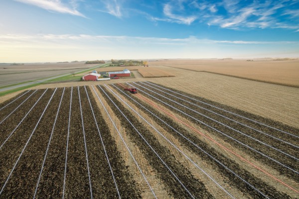 Lone tractor plowing a big field on a sunny, blue sky day.